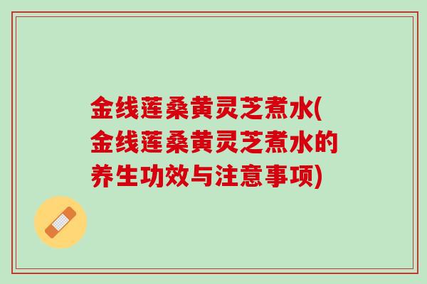 金线莲桑黄灵芝煮水(金线莲桑黄灵芝煮水的养生功效与注意事项)