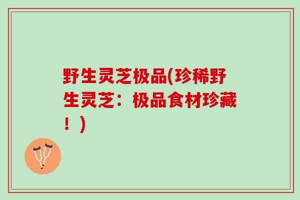 野生灵芝极品(珍稀野生灵芝：极品食材珍藏！)