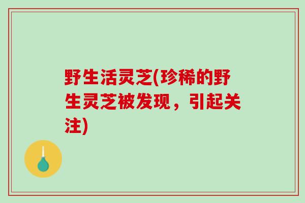 野生活灵芝(珍稀的野生灵芝被发现，引起关注)