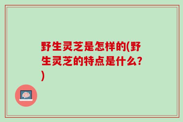 野生灵芝是怎样的(野生灵芝的特点是什么？)