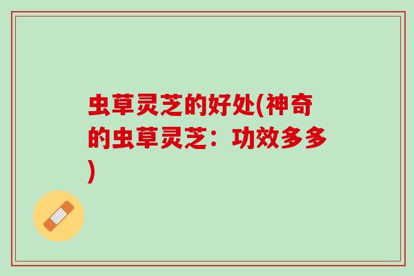 虫草灵芝的好处(神奇的虫草灵芝：功效多多)