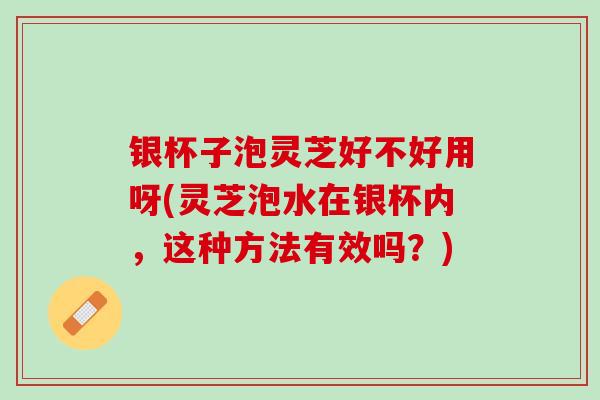 银杯子泡灵芝好不好用呀(灵芝泡水在银杯内，这种方法有效吗？)