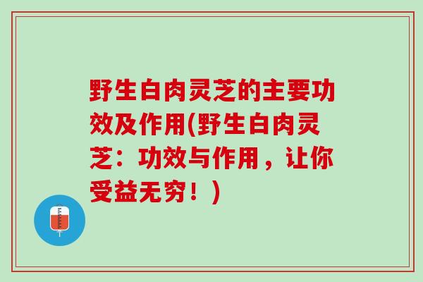 野生白肉灵芝的主要功效及作用(野生白肉灵芝：功效与作用，让你受益无穷！)