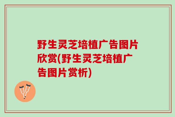 野生灵芝培植广告图片欣赏(野生灵芝培植广告图片赏析)