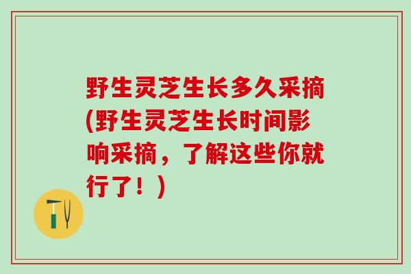野生灵芝生长多久采摘(野生灵芝生长时间影响采摘，了解这些你就行了！)
