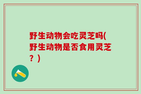野生动物会吃灵芝吗(野生动物是否食用灵芝？)