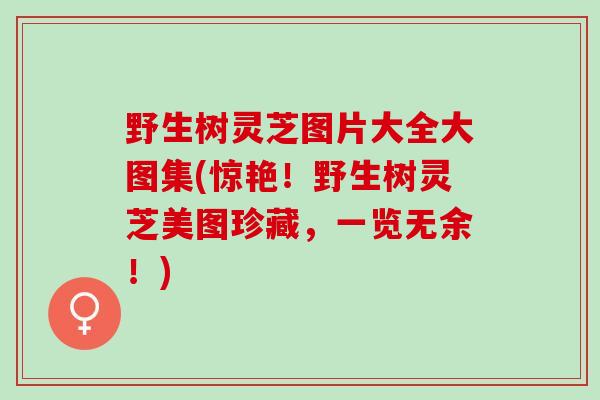 野生树灵芝图片大全大图集(惊艳！野生树灵芝美图珍藏，一览无余！)