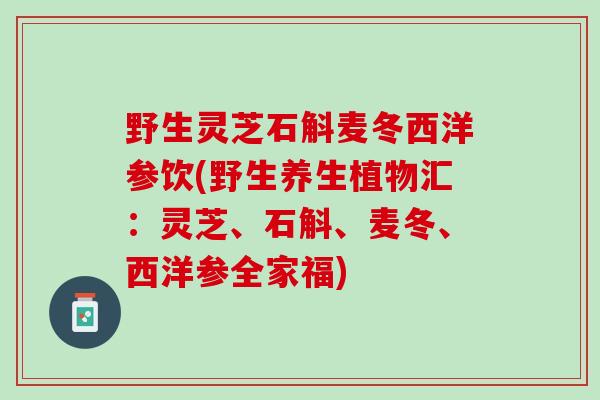 野生灵芝石斛麦冬西洋参饮(野生养生植物汇：灵芝、石斛、麦冬、西洋参全家福)