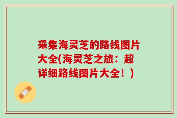 采集海灵芝的路线图片大全(海灵芝之旅：超详细路线图片大全！)