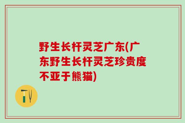 野生长杆灵芝广东(广东野生长杆灵芝珍贵度不亚于熊猫)