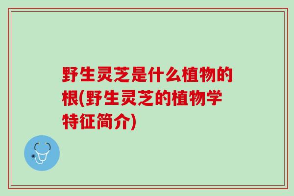野生灵芝是什么植物的根(野生灵芝的植物学特征简介)
