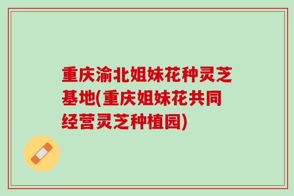 重庆渝北姐妹花种灵芝基地(重庆姐妹花共同经营灵芝种植园) 重庆渝北姐妹花种灵芝基地(重庆姐妹花共同经营灵芝种植园)