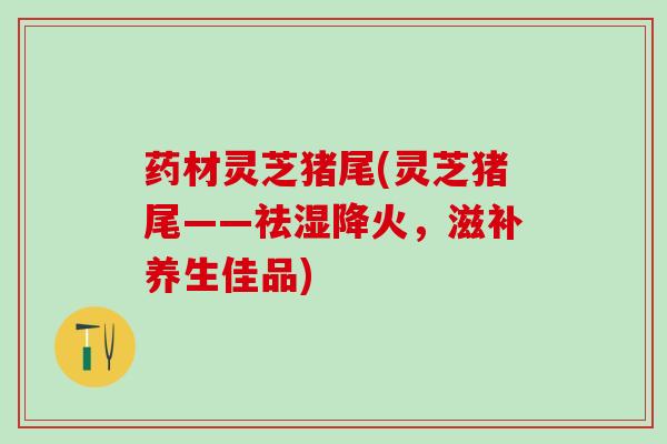 药材灵芝猪尾(灵芝猪尾——祛湿降火，滋补养生佳品)