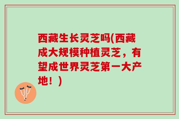 西藏生长灵芝吗(西藏成大规模种植灵芝，有望成世界灵芝第一大产地！)