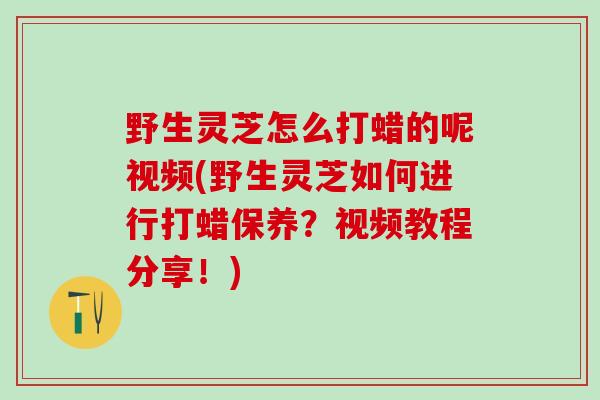 野生灵芝怎么打蜡的呢视频(野生灵芝如何进行打蜡保养？视频教程分享！)