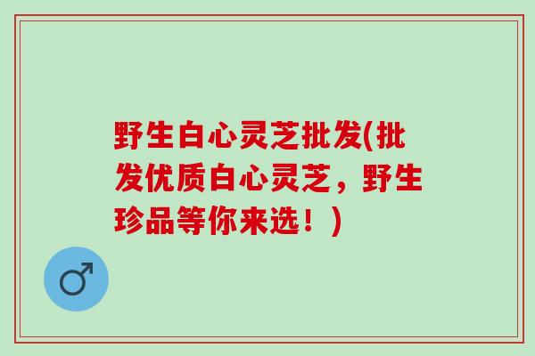 野生白心灵芝批发(批发优质白心灵芝，野生珍品等你来选！)