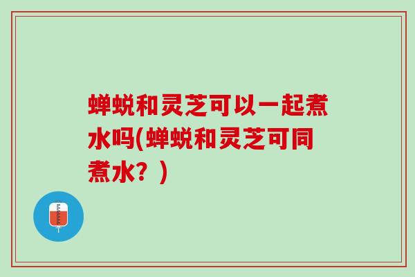 蝉蜕和灵芝可以一起煮水吗(蝉蜕和灵芝可同煮水？)