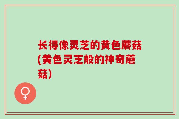 长得像灵芝的黄色蘑菇(黄色灵芝般的神奇蘑菇)