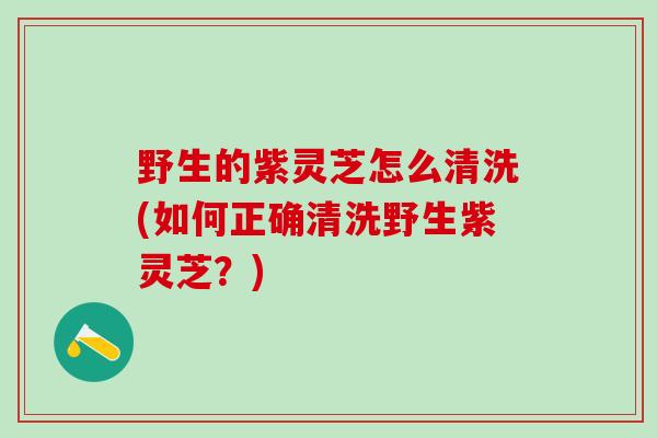 野生的紫灵芝怎么清洗(如何正确清洗野生紫灵芝？)