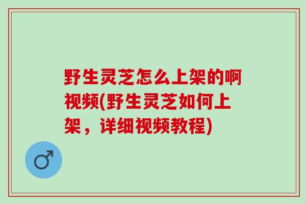 野生灵芝怎么上架的啊视频(野生灵芝如何上架，详细视频教程)