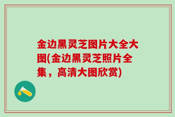 金边黑灵芝图片大全大图(金边黑灵芝照片全集，高清大图欣赏)
