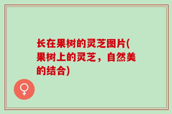 长在果树的灵芝图片(果树上的灵芝，自然美的结合)