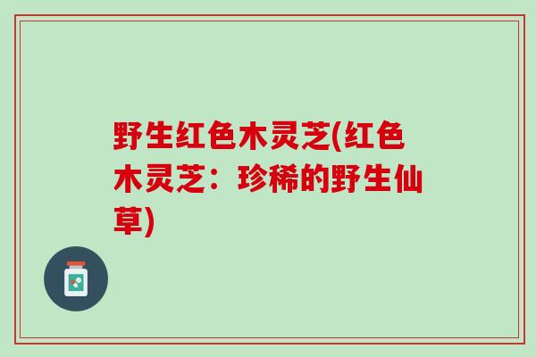 野生红色木灵芝(红色木灵芝：珍稀的野生仙草)