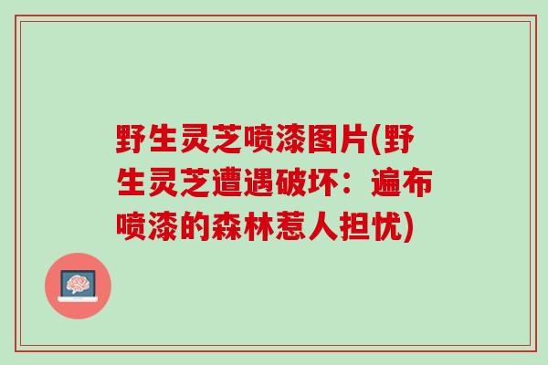 野生灵芝喷漆图片(野生灵芝遭遇破坏：遍布喷漆的森林惹人担忧)