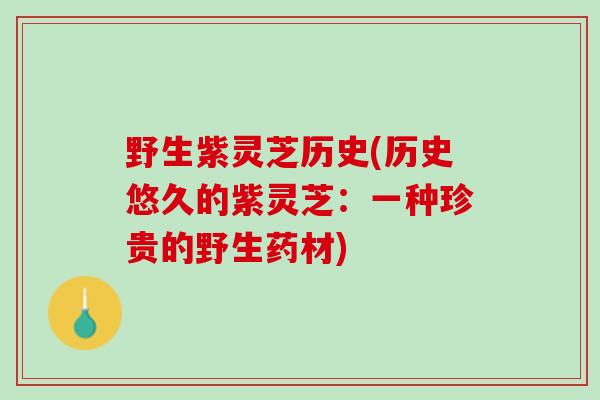 野生紫灵芝历史(历史悠久的紫灵芝:一种珍贵的野生药材) 野生紫灵芝历史(历史悠久的紫灵芝:一种珍贵的野生药材)