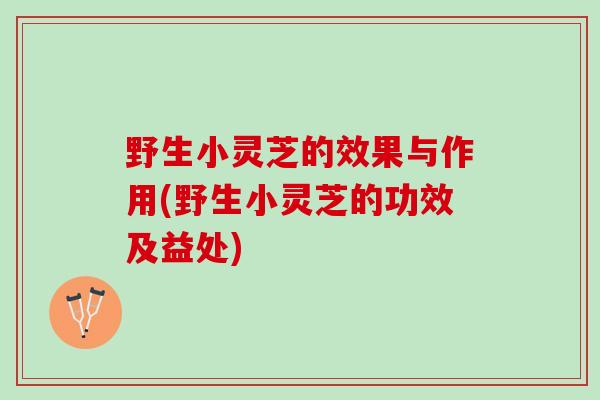 野生小灵芝的效果与作用(野生小灵芝的功效及益处)