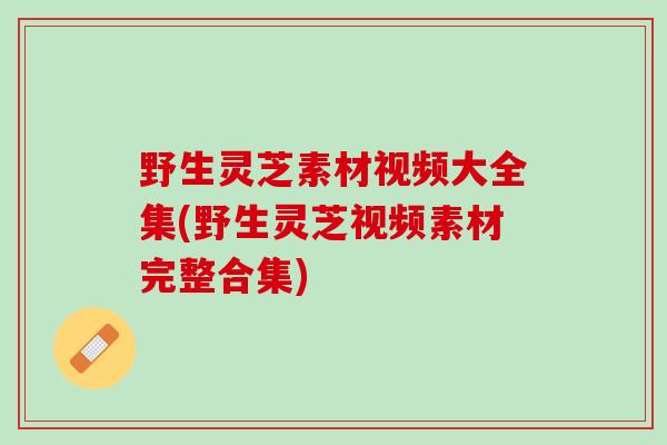 野生灵芝素材视频大全集(野生灵芝视频素材完整合集)