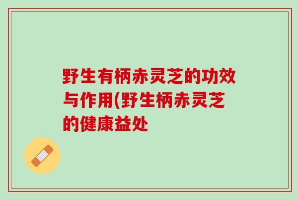野生有柄赤灵芝的功效与作用(野生柄赤灵芝的健康益处 野生有柄赤灵芝的功效与作用(野生柄赤灵芝的健康益处