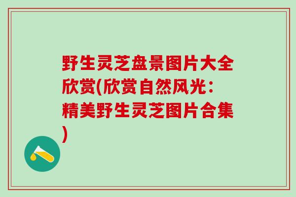 野生灵芝盘景图片大全欣赏(欣赏自然风光：精美野生灵芝图片合集)