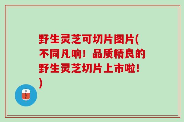 野生灵芝可切片图片(不同凡响！品质精良的野生灵芝切片上市啦！)