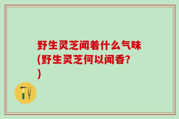 野生灵芝闻着什么气味(野生灵芝何以闻香？)
