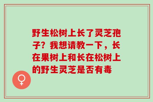 野生松树上长了灵芝孢子？我想请教一下，长在果树上和长在松树上的野生灵芝是否有毒