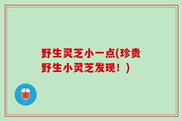 野生灵芝小一点(珍贵野生小灵芝发现！)