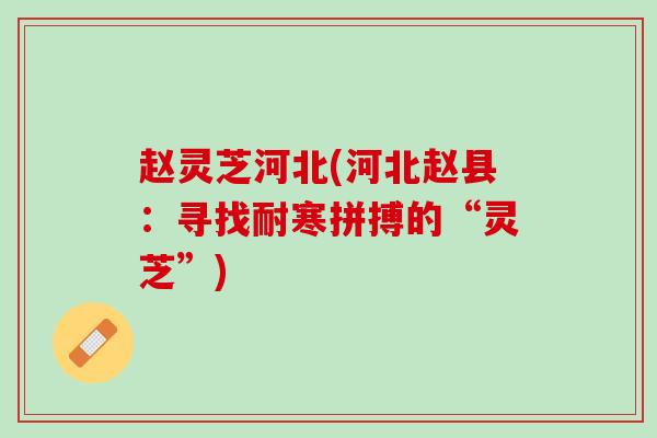 赵灵芝河北(河北赵县：寻找耐寒拼搏的“灵芝”)