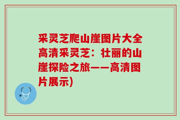 采灵芝爬山崖图片大全高清采灵芝：壮丽的山崖探险之旅——高清图片展示)