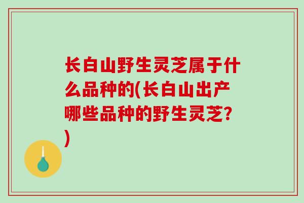 长白山野生灵芝属于什么品种的(长白山出产哪些品种的野生灵芝?) 长白山野生灵芝属于什么品种的(长白山出产哪些品种的野生灵芝?)