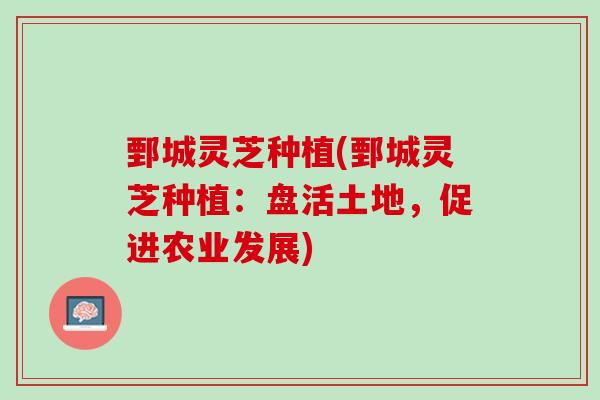 鄄城灵芝种植(鄄城灵芝种植：盘活土地，促进农业发展)