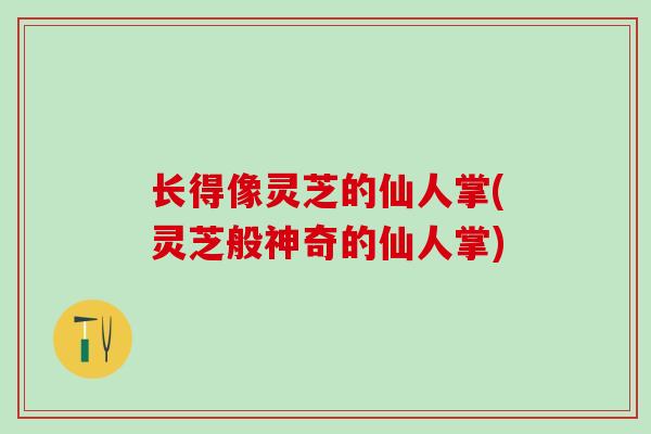 长得像灵芝的仙人掌(灵芝般神奇的仙人掌)