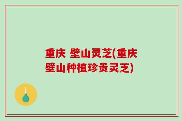 重庆 壁山灵芝(重庆壁山种植珍贵灵芝)