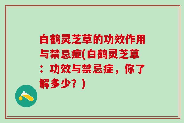 白鹤灵芝草的功效作用与禁忌症(白鹤灵芝草：功效与禁忌症，你了解多少？)