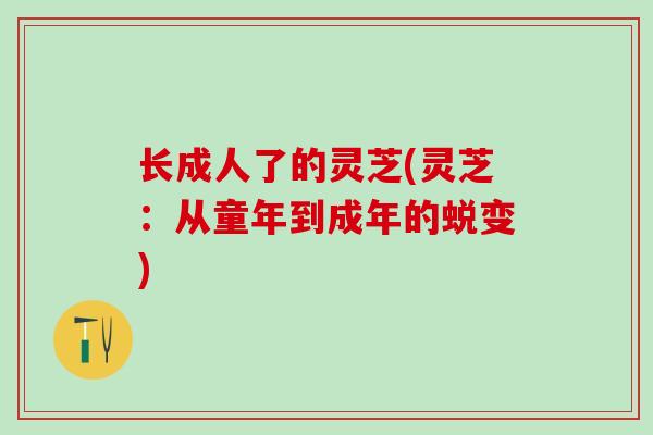 长成人了的灵芝(灵芝:从童年到成年的蜕变) 长成人了的灵芝(灵芝:从童年到成年的蜕变)