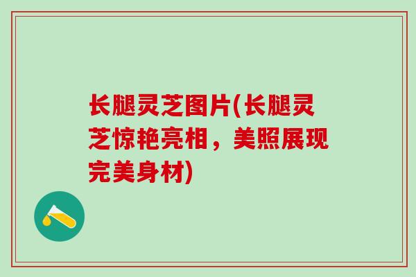 长腿灵芝图片(长腿灵芝惊艳亮相，美照展现完美身材)