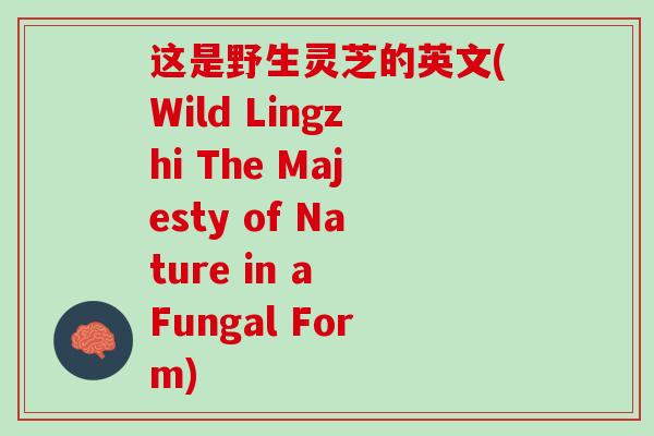 这是野生灵芝的英文(Wild Lingzhi The Majesty of Nature in a Fungal Form)