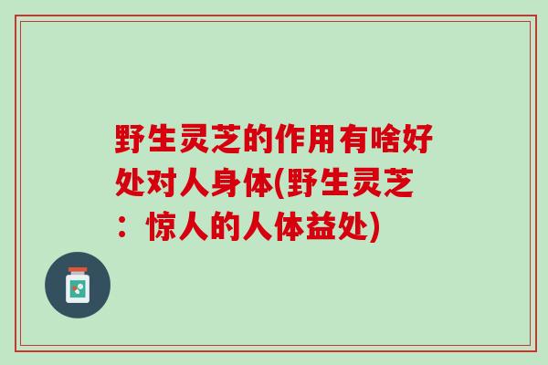 野生灵芝的作用有啥好处对人身体(野生灵芝：惊人的人体益处)