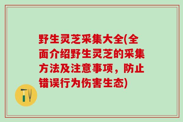 野生灵芝采集大全(全面介绍野生灵芝的采集方法及注意事项，防止错误行为伤害生态)