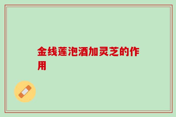 金线莲泡酒加灵芝的作用